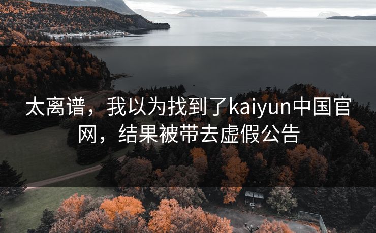 太离谱，我以为找到了kaiyun中国官网，结果被带去虚假公告